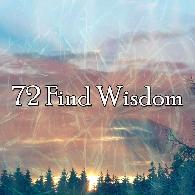 Couverture de 72 Find Wisdom