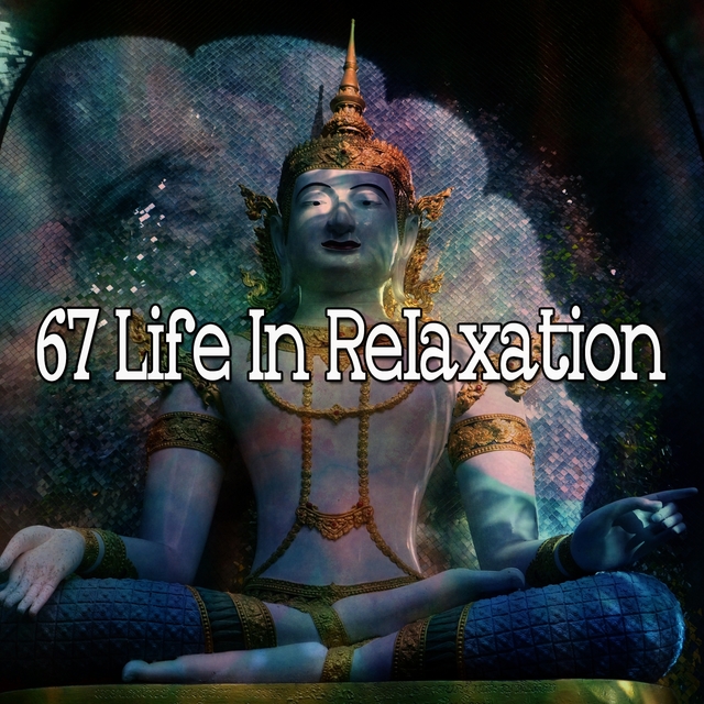 Couverture de 67 Life in Relaxation