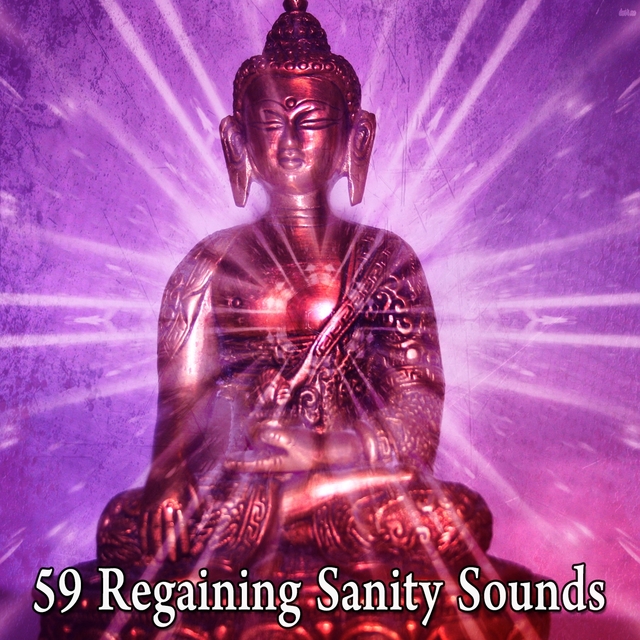 Couverture de 59 Regaining Sanity Sounds