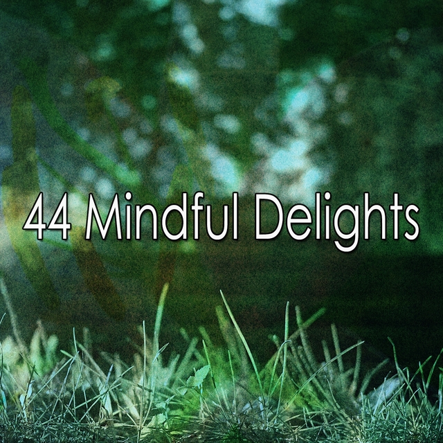 44 Mindful Delights