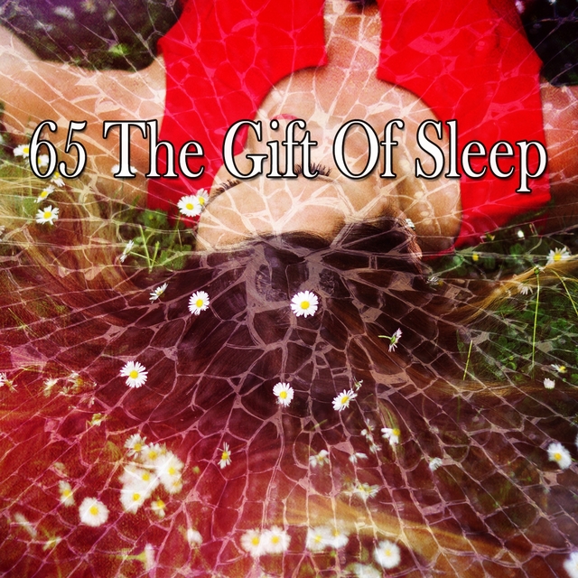 Couverture de 65 The Gift of Sleep