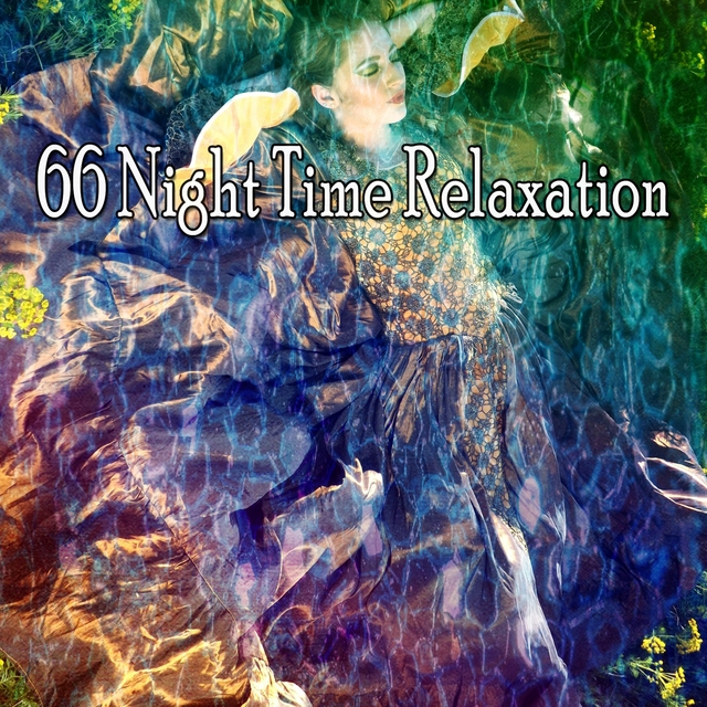 Couverture de 66 Night Time Relaxation