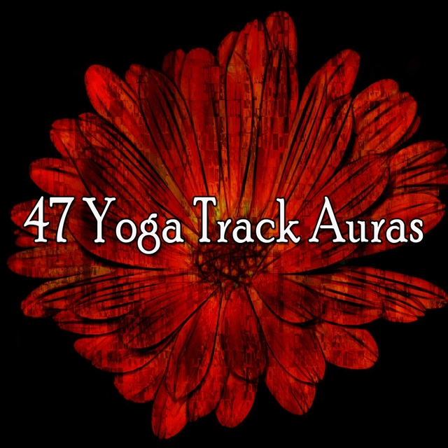 47 Yoga Track Auras