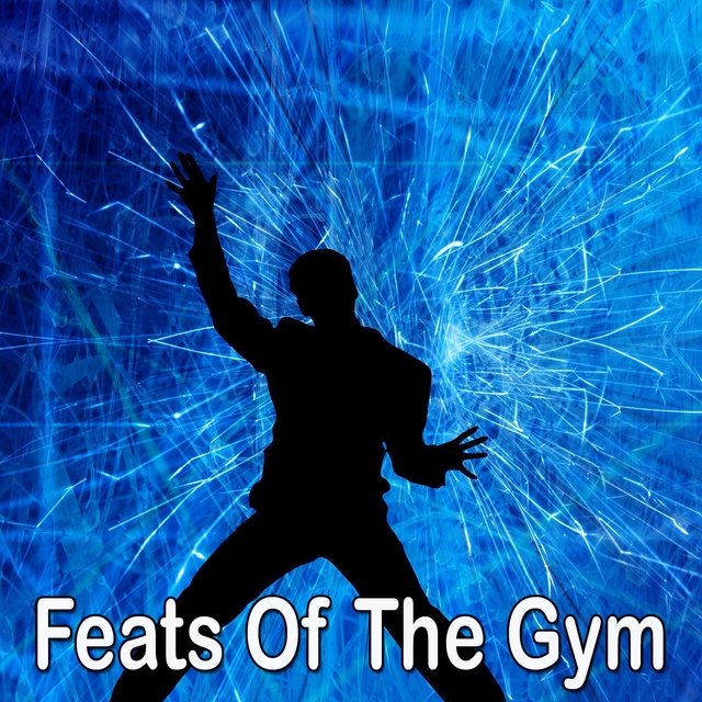 Feats of the Gym