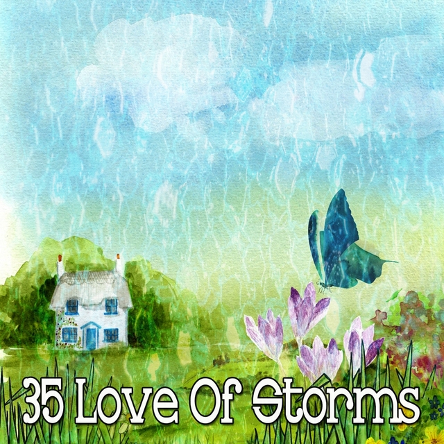 35 Love of Storms