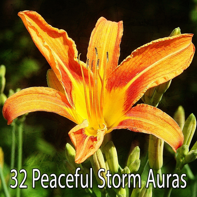 32 Peaceful Storm Auras