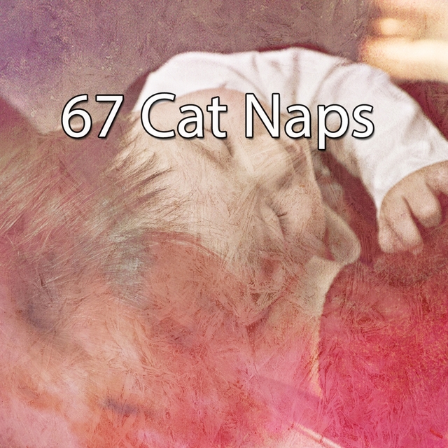 67 Cat Naps