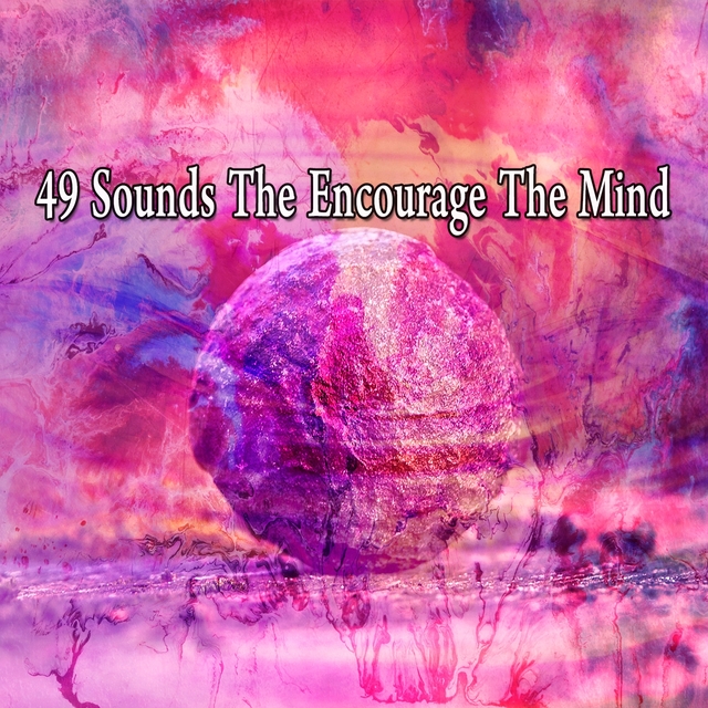 Couverture de 49 Sounds the Encourage the Mind