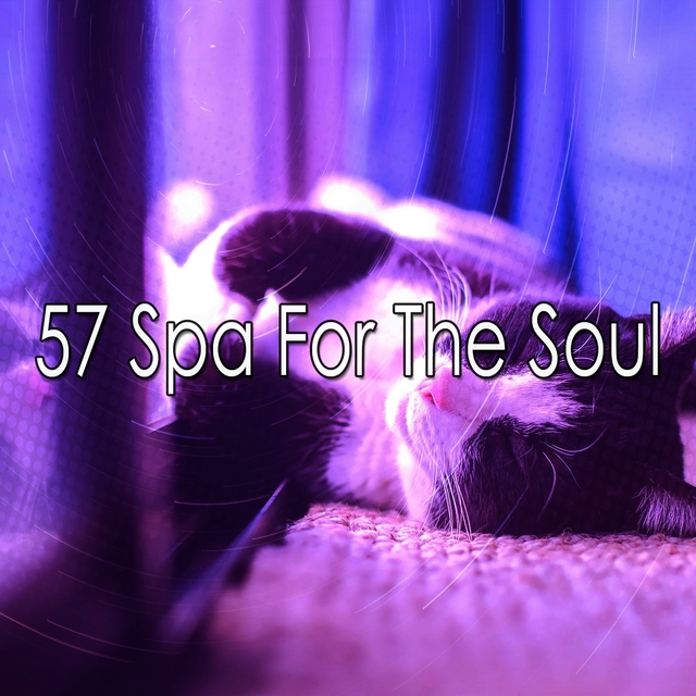 57 Spa for the Soul