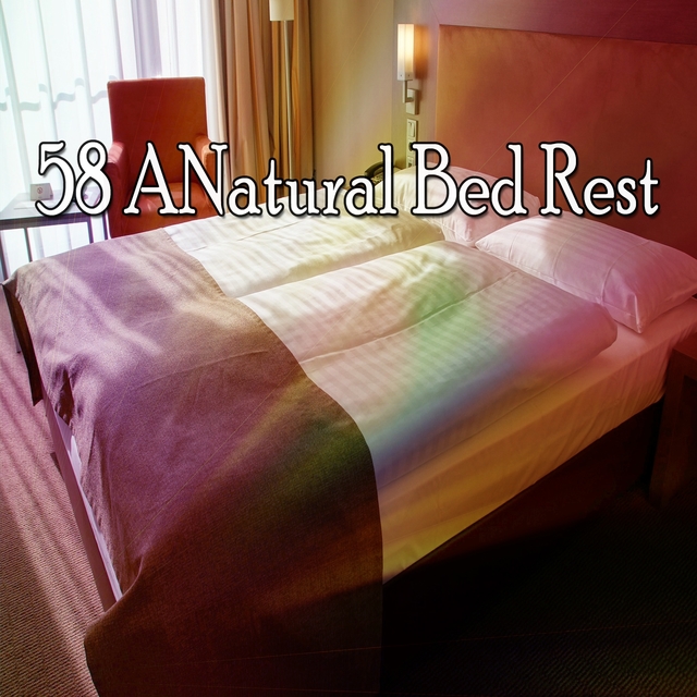 Couverture de 58 Anatural Bed Rest