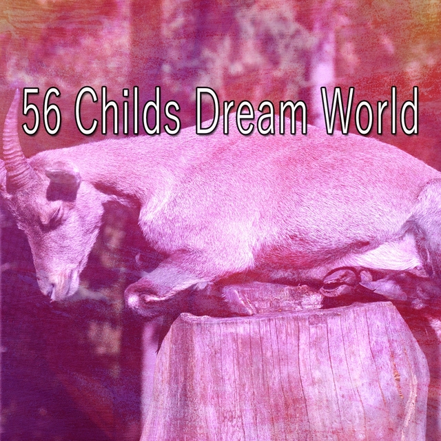 Couverture de 56 Childs Dream World