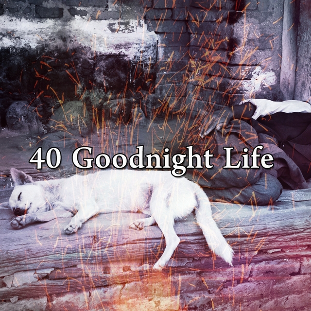 Couverture de 40 Goodnight Life