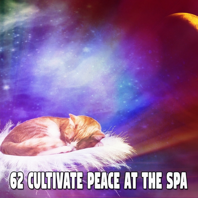 62 Cultivate Peace at the Spa