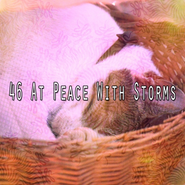 46 At Peace with Storms