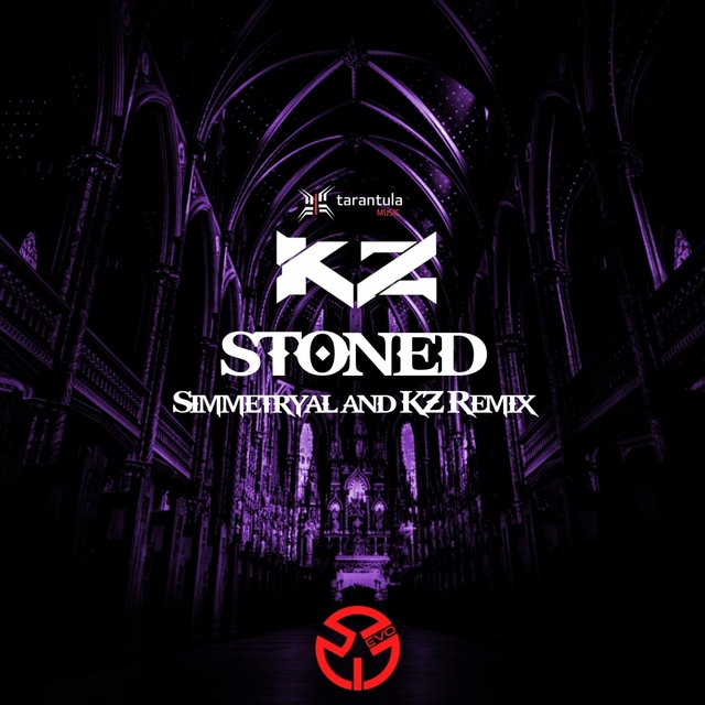 Couverture de Stoned