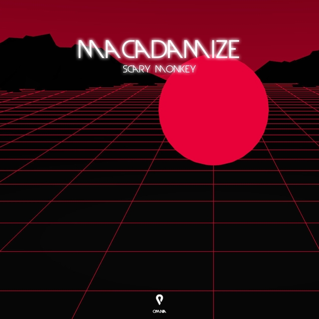 Couverture de Macadamize