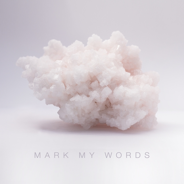 Couverture de Mark My Words