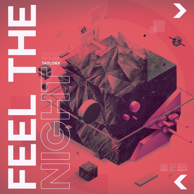 Couverture de Feel the Night