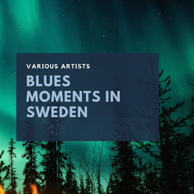Couverture de Blues Moments in Sweden