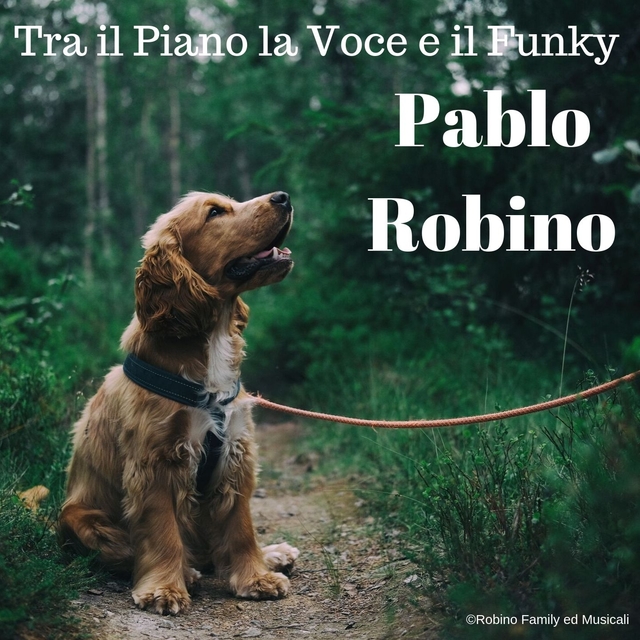 Couverture de Tra il Piano la Voce e il Funky