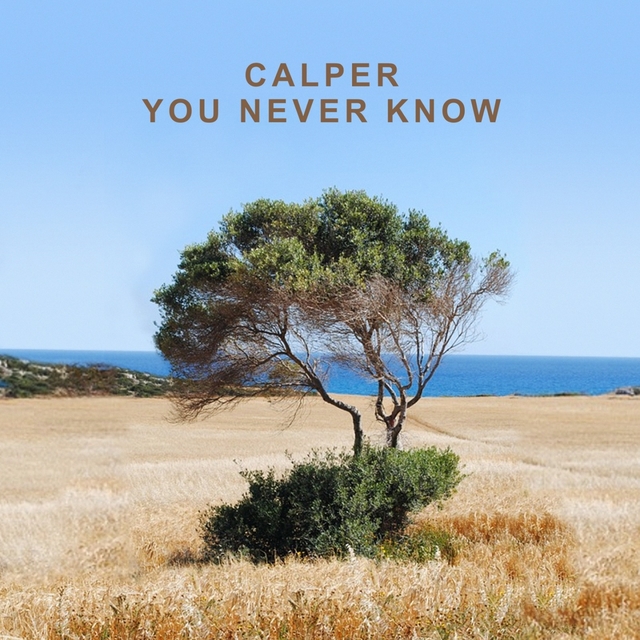 Couverture de You Never Know