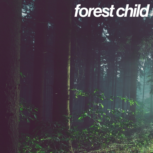 Couverture de Forest Child