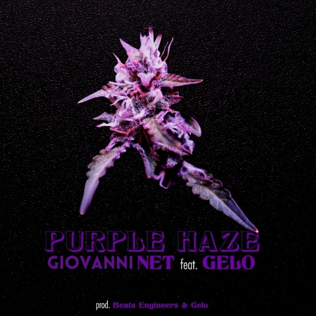 Couverture de Purple Haze