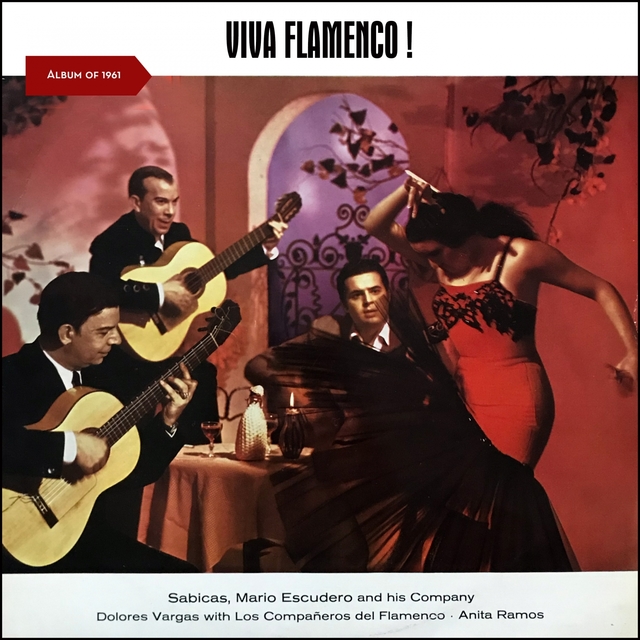 Viva Flamenco!