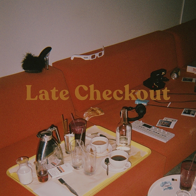 Couverture de Late Checkout