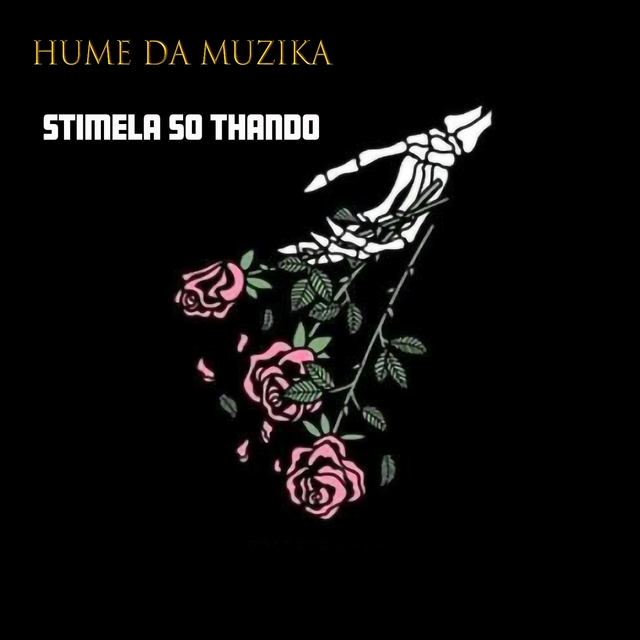 Couverture de Stimela So Thando