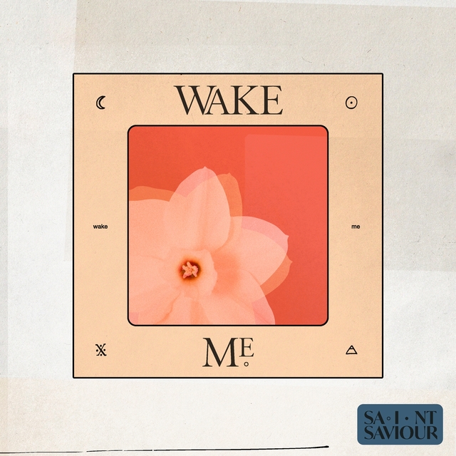 Couverture de Wake Me