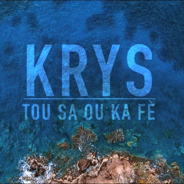 Couverture de Tou sa ou ka fè