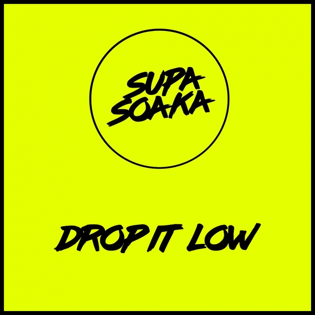 Couverture de Drop It Low