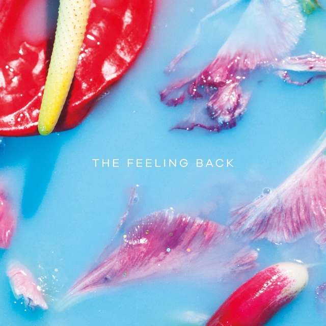 Couverture de The Feeling Back