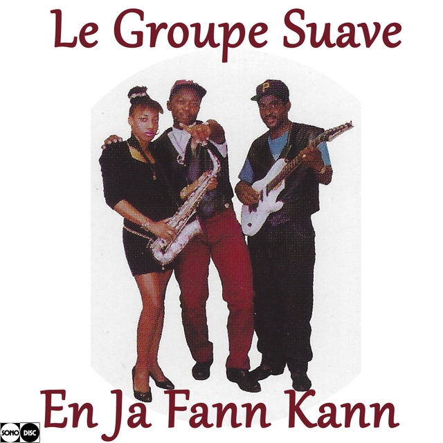 Couverture de En ja fann kann