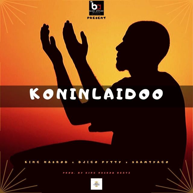 Couverture de Koninlaidoo