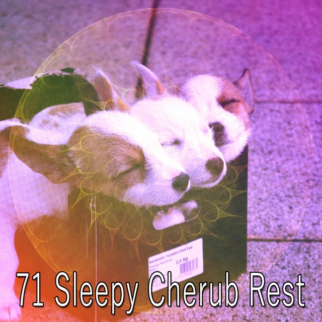 71 Sleepy Cherub Rest