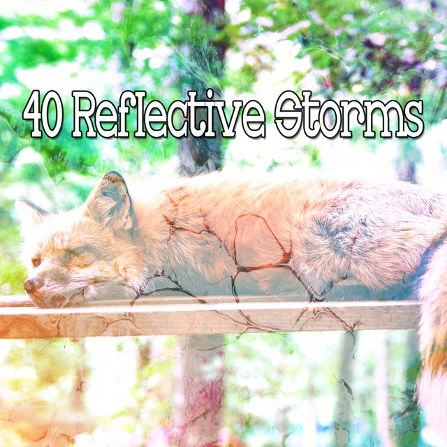 40 Reflective Storms