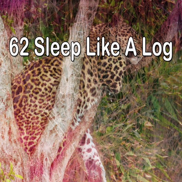 Couverture de 62 Sleep Like a Log