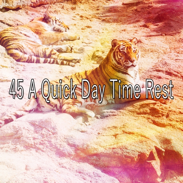 Couverture de 45 A Quick Day Time Rest