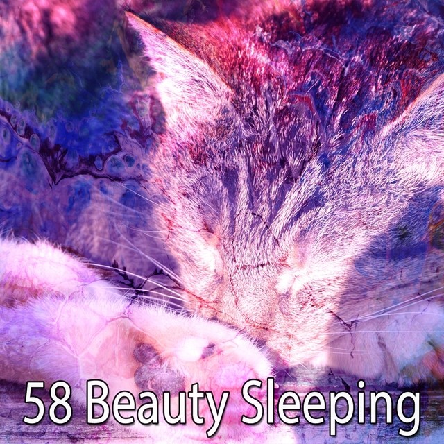 Couverture de 58 Beauty Sleeping