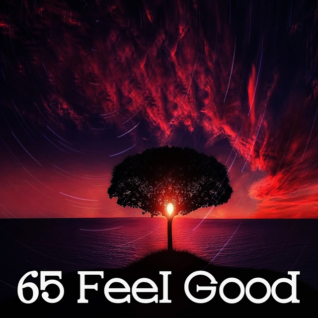 Couverture de 65 Feel Good