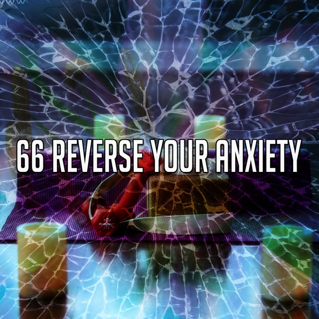 Couverture de 66 Reverse Your Anxiety