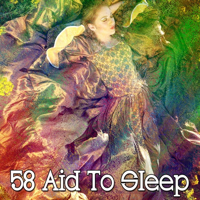 58 Aid to Sleep