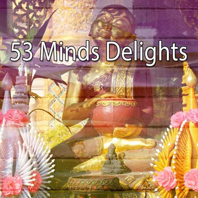 53 Minds Delights