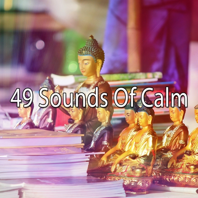 Couverture de 49 Sounds of Calm