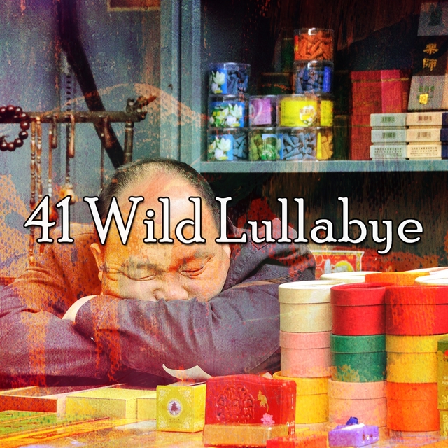 Couverture de 41 Wild Lullabye