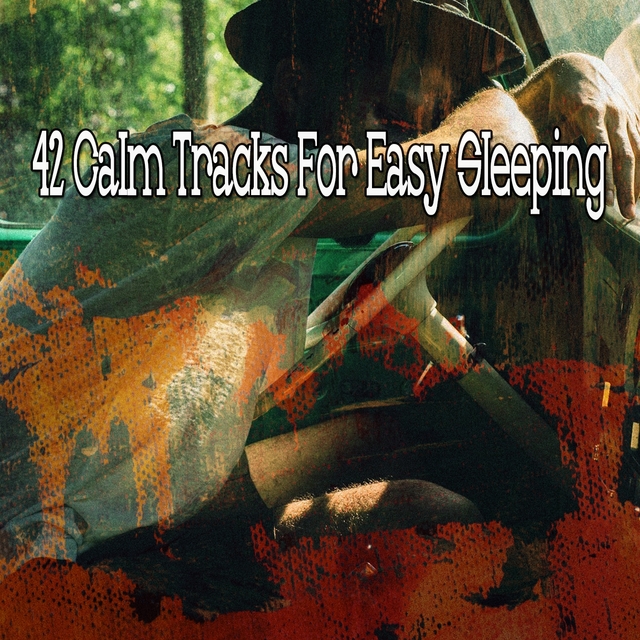 42 Calm Tracks for Easy Sleeping