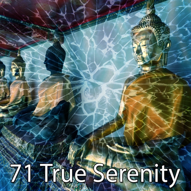 71 True Serenity