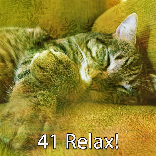 41 Relax!